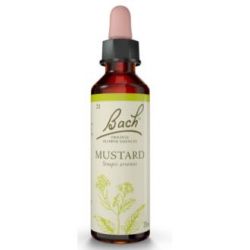 FLORES BACH MUSTARD mostarda 20ml.