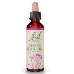 FLORES BACH STAR OF BETHLEHEM latte gallina 20ml.