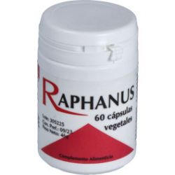 RAPHANUS 60cps.