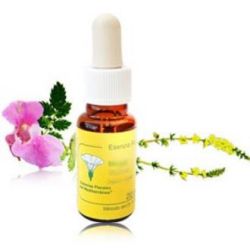 LOTUS E.F.Mediterraneo 20 ml.