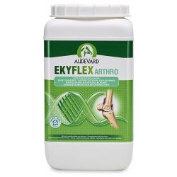 EKYFLEX ARTHRO 2 KG AUDEVARD VET