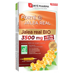 FORTE GELÉE ROYALE BIO 3500 MG 10 AMP 15 ML