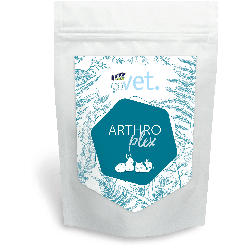 BUNNY GOVET ARTHROPLEX 325GR VET