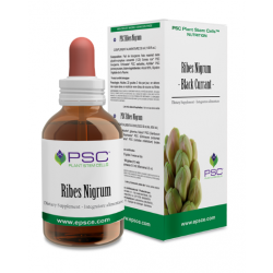 PSC RIBES NIGRUM 15ml.