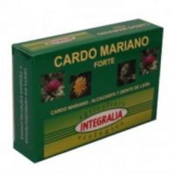 CARDO MARIANO forte ECO 60cps.