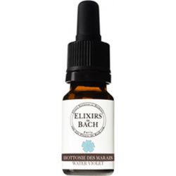 VIOLETA D'ACQUA10 ML