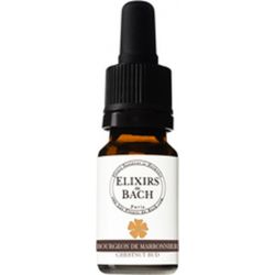BROTE DI CASTAGNO 10 ML