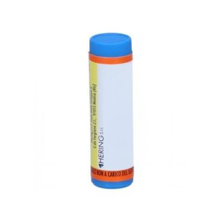 Hering Colocynthis*80 Gr 9 Ch Multidosis Container