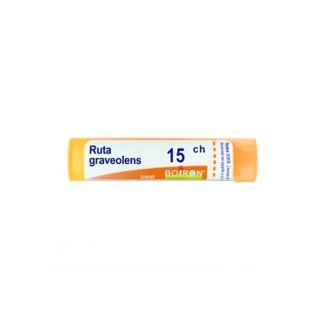 Boiron Ruta Grav 15Ch 80Gr 4G