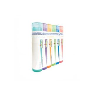 Boiron Natrum Sulf 9Ch 80Gr 4G