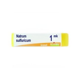 Boiron Natrum Sulfuricum 1.000K Gl