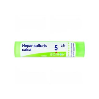 Sodini Hepar Sulfuris Calcareum*80 Gr 5 Ch Conteni