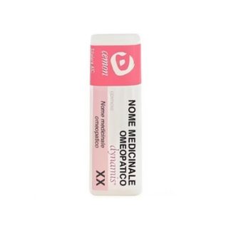 Cemon Toasted Sponge Dyn*140 Gr 6Ch Gl