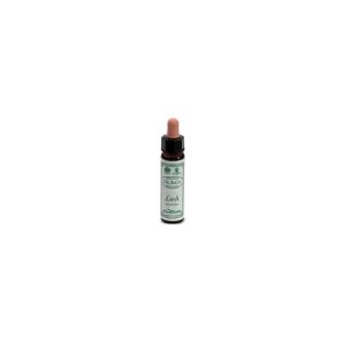 AINSWORTHS LARCH 10ML
