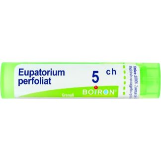 Boiron Eupatorium P 5Ch80Gr