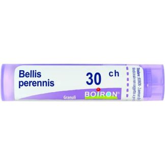 Boiron Bellis Peren 30Ch 80Gr 4G