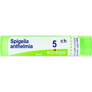 Boiron Spigelia Anth 5Ch 80Gr 4G