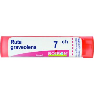 Boiron Ruta Grav 7Ch 80Gr 4G