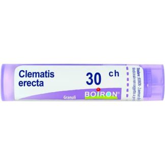 Boiron Clematis Erec 30Ch 80Gr 4G