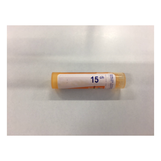 Boiron Pulsatilla Boi 15Ch 80Gr 4G