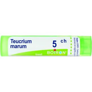 Boiron Teucrium Mar 5Ch 80Gr 4G