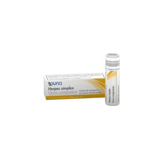 Guna Herpes Simplex Compositum 4G Gr