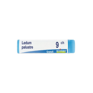 Boiron Ledum Palustre 9Ch Gl 1G