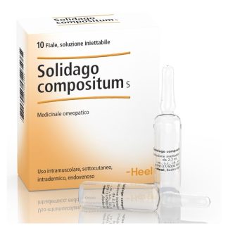 Heel Solidago Compositum 10Fl 2,2 Ml