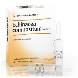Heel Echinacea Composta S Forte 10Fl