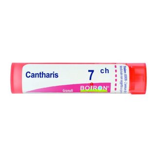 Boiron Cantharis 7Ch Gr 4G