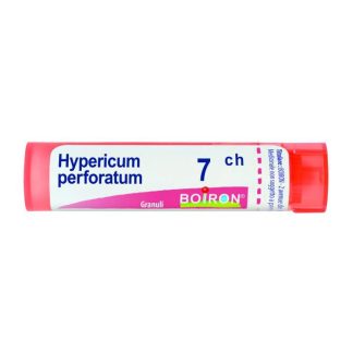 Boiron Hypericum Perf 7Ch Gr 4G