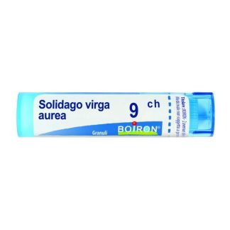 Boiron Solidago Virga Au 9Ch Gr 4G