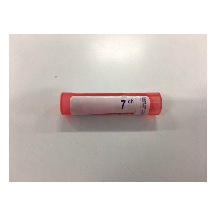 Boiron Argentum Nitric 7Ch Gr 4G