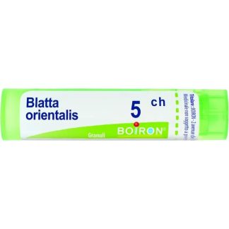 Boiron Blatta Orientalis 5Ch Gr 4G