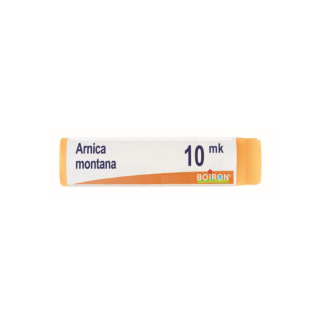 Boiron Arnica Xmk Gl 1G