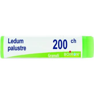 Boiron Ledum Palust 200Ch Gl 1G