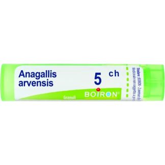 Boiron Anagallis Arvensis 5Ch Gr 4G