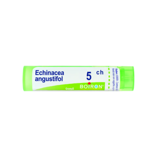 Boiron Echinacea Angust 5Ch Gr 4G
