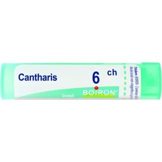 Boiron Cantharis 6Ch Gr 4G