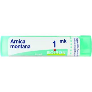 Boiron Arnica Mk Gr 4G