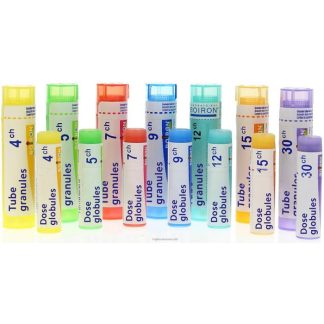 SODINI Thuya Occident 7Ch Gl