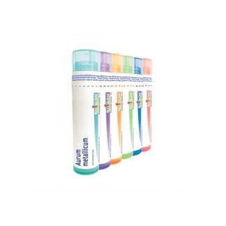 Boiron Folliculinum 30Ch Gl 1G