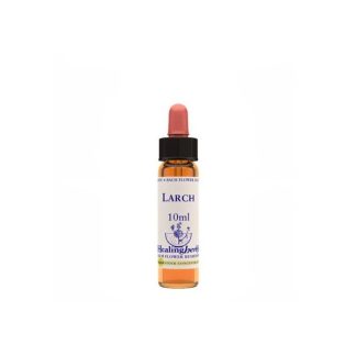 LARCH ESSENCE 10ML