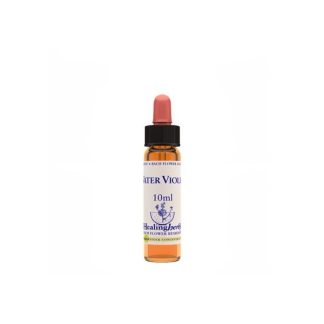WATER VIOLET ESSENCE 10ML