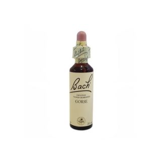 BACH CENTER ESS GORSE 20ML