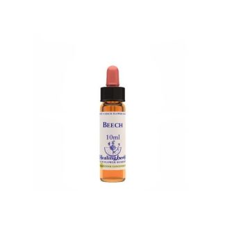 BEECH ESSENCE 10ML