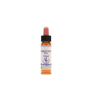 CHESTNUT BUD ESSENCE 10ML