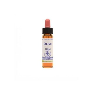 OLIVE ESSENCE 10ML