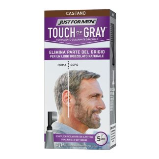 Just For Men Touch Of Gray Brown 40G