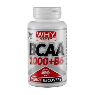 Whysport Bcaa 1000+B6 100Cpr